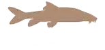 barbel.png