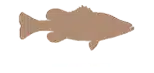 bass.png