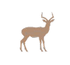 impala