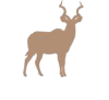kudu