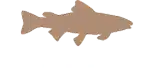 trout.png