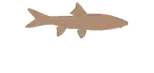 yellowfish.png