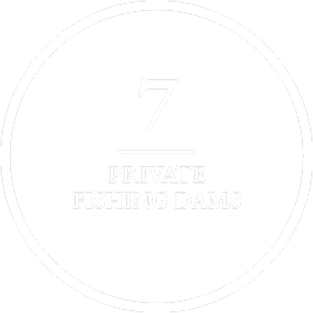 17 private dams-8 1
